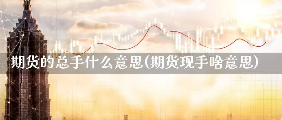 期货的总手什么意思(期货现手啥意思)_https://www.jinshufanghu.com_黄金期货_第1张