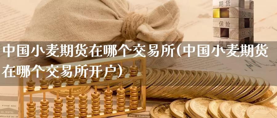 中国小麦期货在哪个交易所(中国小麦期货在哪个交易所开户)_https://www.jinshufanghu.com_内盘期货_第1张