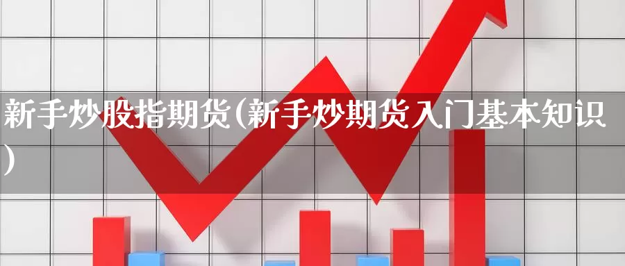 新手炒股指期货(新手炒期货入门基本知识)_https://www.jinshufanghu.com_纳指期货_第1张