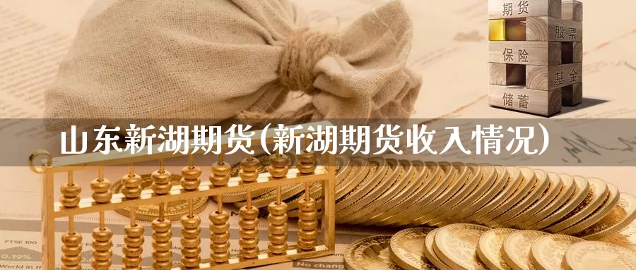 山东新湖期货(新湖期货收入情况)_https://www.jinshufanghu.com_内盘期货_第1张
