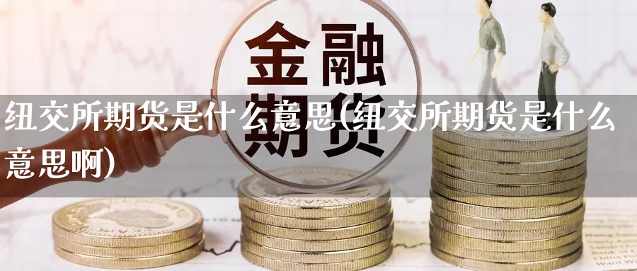 纽交所期货是什么意思(纽交所期货是什么意思啊)_https://www.jinshufanghu.com_期货直播_第1张