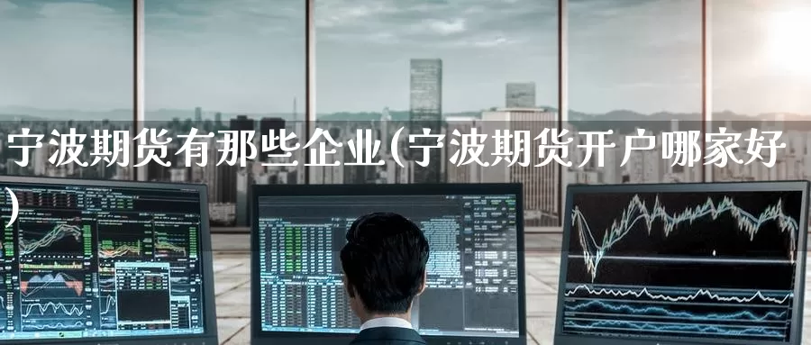宁波期货有那些企业(宁波期货开户哪家好)_https://www.jinshufanghu.com_黄金期货_第1张