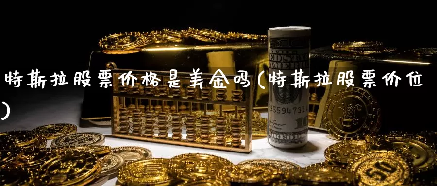 特斯拉股票价格是美金吗(特斯拉股票价位)_https://www.jinshufanghu.com_纳指期货_第1张