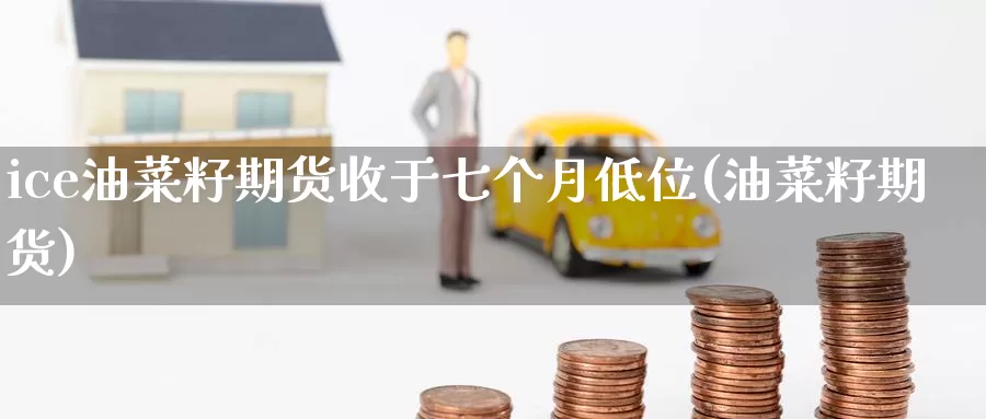 ice油菜籽期货收于七个月低位(油菜籽期货)_https://www.jinshufanghu.com_期货直播_第1张