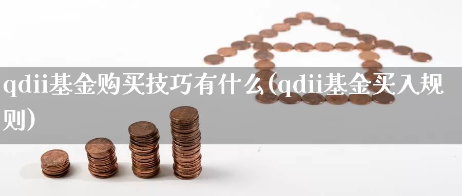 qdii基金购买技巧有什么(qdii基金买入规则)_https://www.jinshufanghu.com_内盘期货_第1张