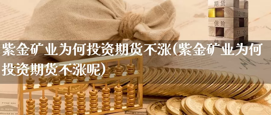 紫金矿业为何投资期货不涨(紫金矿业为何投资期货不涨呢)_https://www.jinshufanghu.com_期货直播_第1张