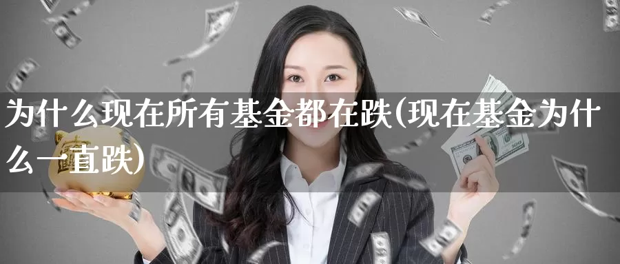为什么现在所有基金都在跌(现在基金为什么一直跌)_https://www.jinshufanghu.com_黄金期货_第1张