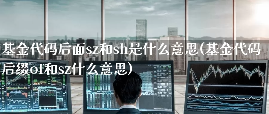 基金代码后面sz和sh是什么意思(基金代码后缀of和sz什么意思)_https://www.jinshufanghu.com_期货直播_第1张