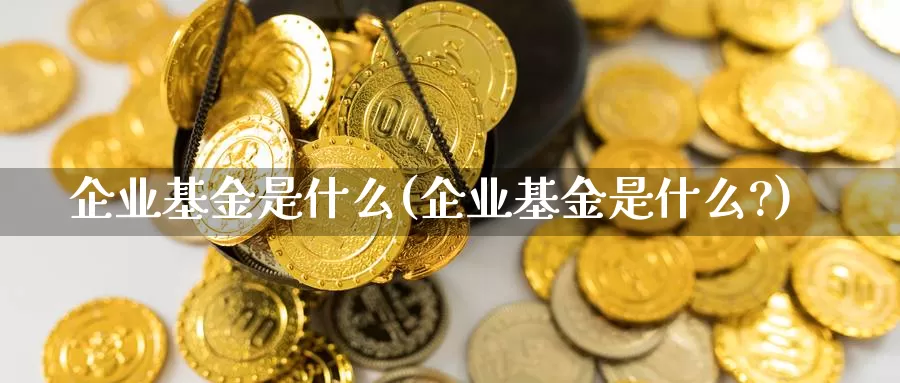 企业基金是什么(企业基金是什么?)_https://www.jinshufanghu.com_纳指期货_第1张