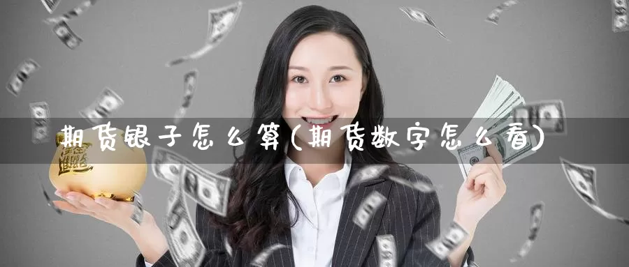 期货银子怎么算(期货数字怎么看)_https://www.jinshufanghu.com_内盘期货_第1张