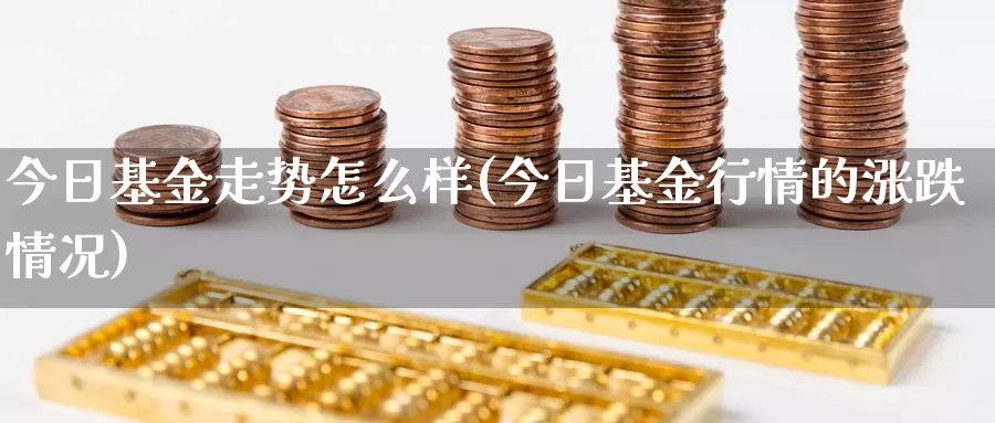 今日基金走势怎么样(今日基金行情的涨跌情况)_https://www.jinshufanghu.com_内盘期货_第1张