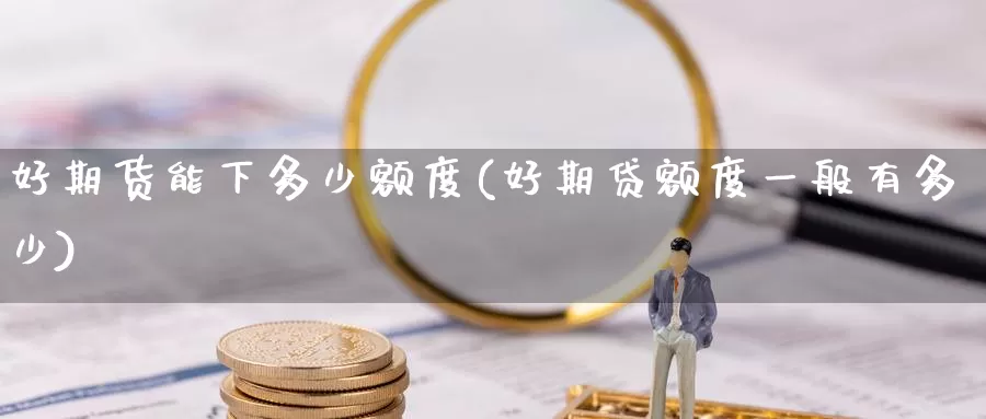 好期货能下多少额度(好期贷额度一般有多少)_https://www.jinshufanghu.com_纳指期货_第1张