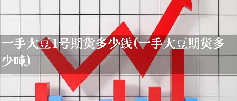 一手大豆1号期货多少钱(一手大豆期货多少吨)_https://www.jinshufanghu.com_纳指期货_第1张