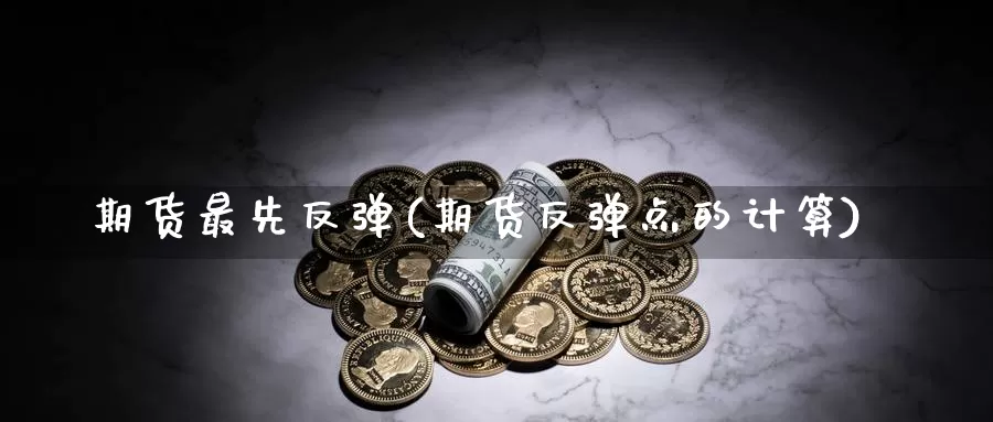 期货最先反弹(期货反弹点的计算)_https://www.jinshufanghu.com_纳指期货_第1张