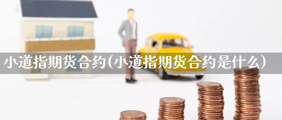 小道指期货合约(小道指期货合约是什么)_https://www.jinshufanghu.com_内盘期货_第1张