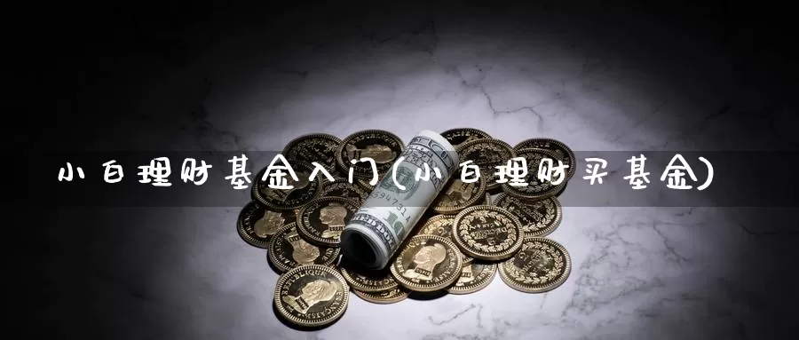 小白理财基金入门(小白理财买基金)_https://www.jinshufanghu.com_纳指期货_第1张