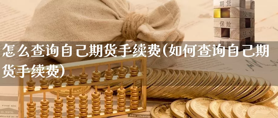 怎么查询自己期货手续费(如何查询自己期货手续费)_纳指期货_第1张_内盘期货直播室 怎么查询自己期货手续费(如何查询自己期货手续费)_https://www.jinshufanghu.com_纳指期货_第1张