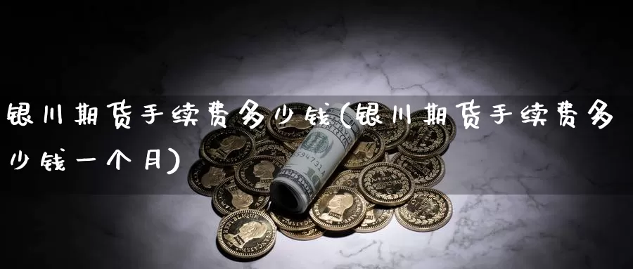 银川期货手续费多少钱(银川期货手续费多少钱一个月)_https://www.jinshufanghu.com_期货直播_第1张