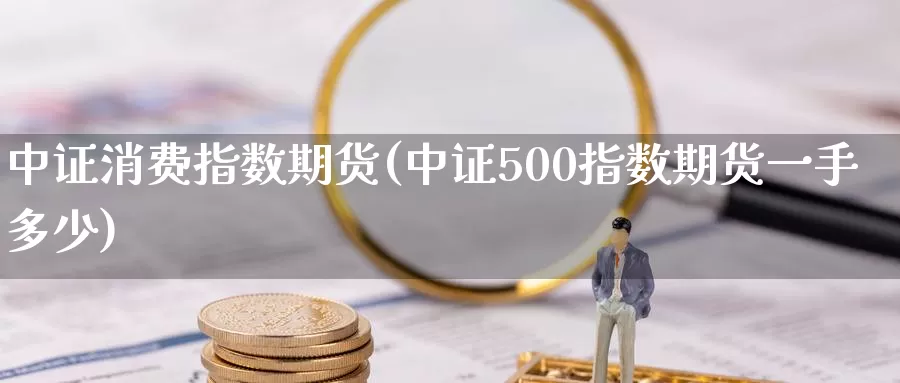 中证消费指数期货(中证500指数期货一手多少)_https://www.jinshufanghu.com_期货直播_第1张