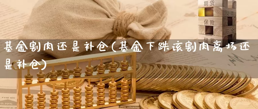 基金割肉还是补仓(基金下跌该割肉离场还是补仓)_https://www.jinshufanghu.com_纳指期货_第1张