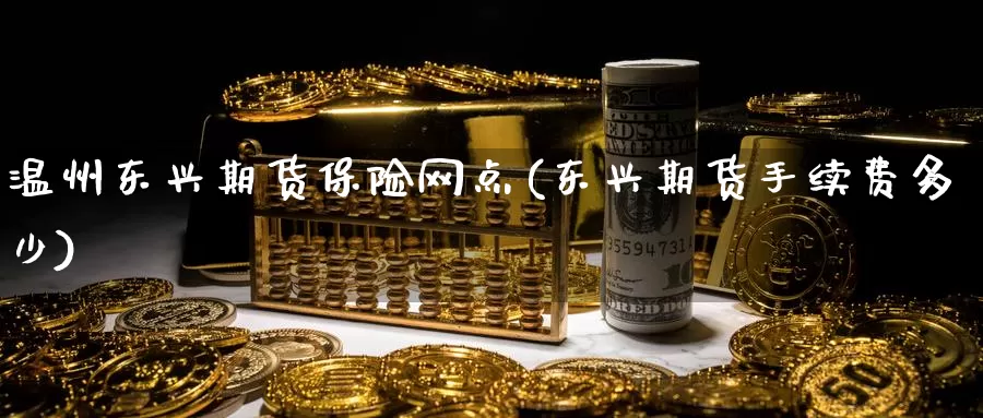 温州东兴期货保险网点(东兴期货手续费多少)_https://www.jinshufanghu.com_期货直播_第1张