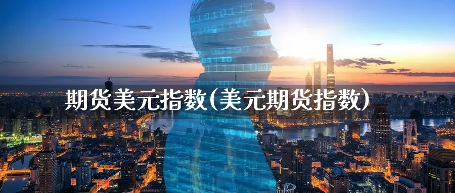 期货美元指数(美元期货指数)_https://www.jinshufanghu.com_纳指期货_第1张