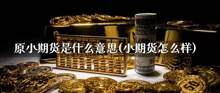 原小期货是什么意思(小期货怎么样)_https://www.jinshufanghu.com_纳指期货_第1张