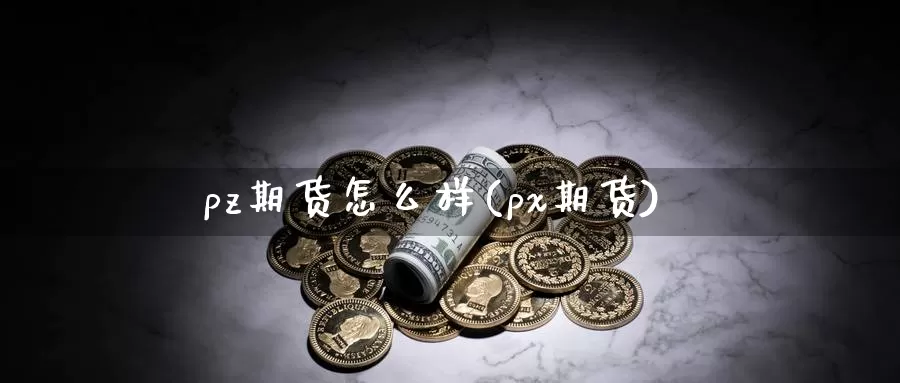 pz期货怎么样(px期货)_https://www.jinshufanghu.com_内盘期货_第1张