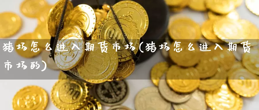 猪场怎么进入期货市场(猪场怎么进入期货市场的)_https://www.jinshufanghu.com_黄金期货_第1张