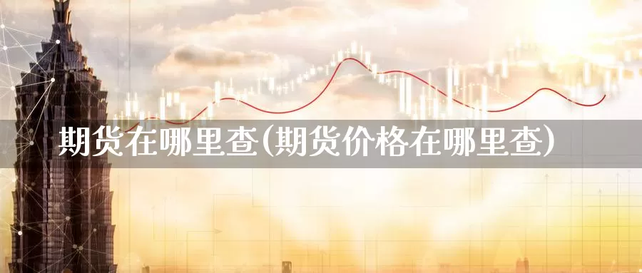 期货在哪里查(期货价格在哪里查)_https://www.jinshufanghu.com_内盘期货_第1张