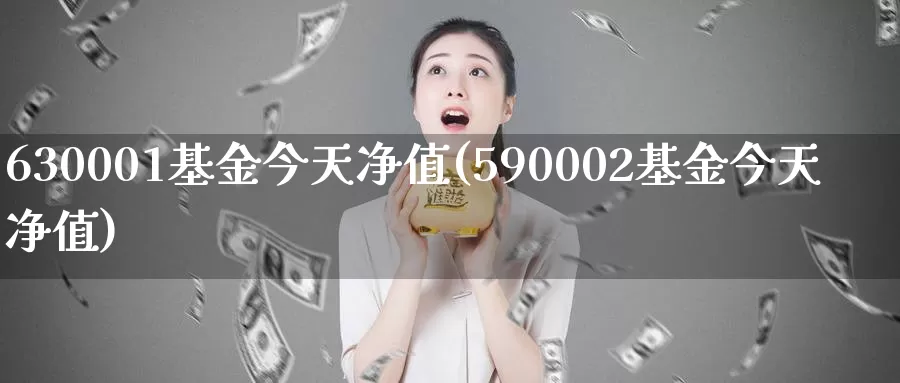 630001基金今天净值(590002基金今天净值)_https://www.jinshufanghu.com_内盘期货_第1张