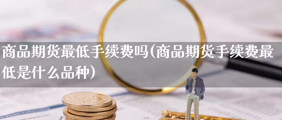 商品期货最低手续费吗(商品期货手续费最低是什么品种)_https://www.jinshufanghu.com_期货直播_第1张