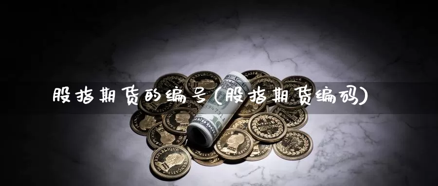 股指期货的编号(股指期货编码)_https://www.jinshufanghu.com_黄金期货_第1张