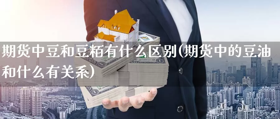 期货中豆和豆粨有什么区别(期货中的豆油和什么有关系)_https://www.jinshufanghu.com_期货直播_第1张