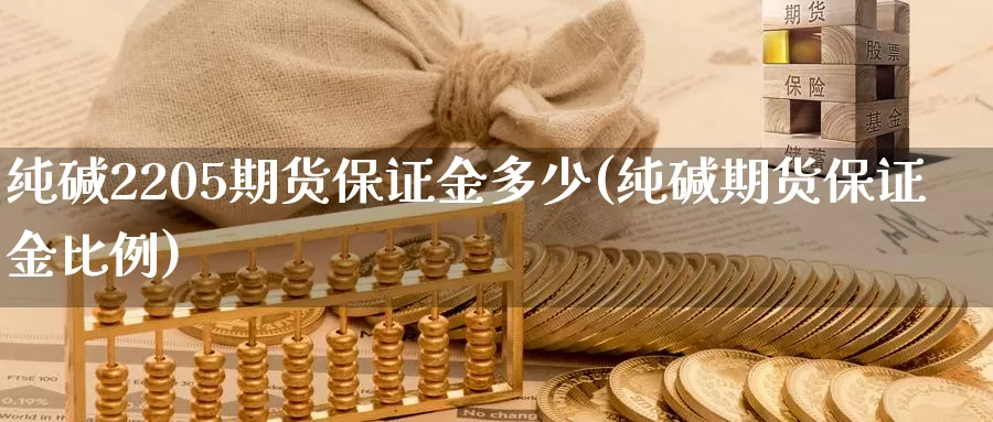 纯碱2205期货保证金多少(纯碱期货保证金比例)_https://www.jinshufanghu.com_期货直播_第1张