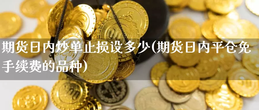 期货日内炒单止损设多少(期货日内平仓免手续费的品种)_https://www.jinshufanghu.com_纳指期货_第1张