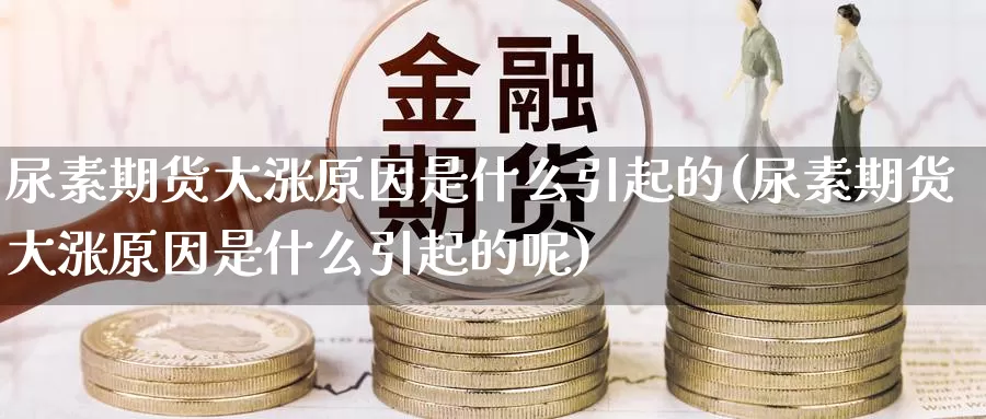 尿素期货大涨原因是什么引起的(尿素期货大涨原因是什么引起的呢)_https://www.jinshufanghu.com_内盘期货_第1张