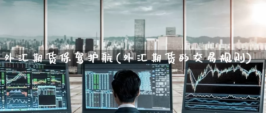 外汇期货保驾护航(外汇期货的交易规则)_https://www.jinshufanghu.com_黄金期货_第1张