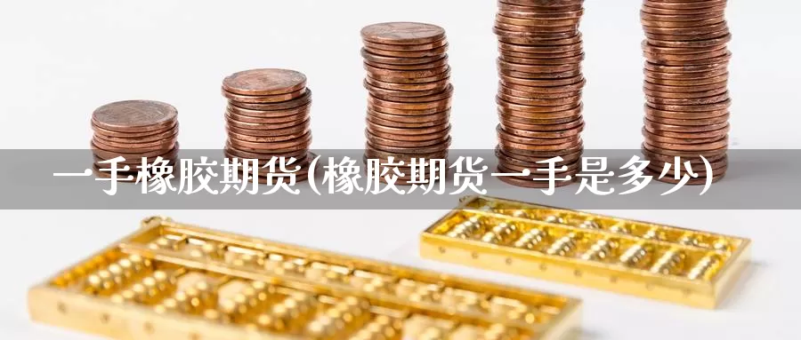 一手橡胶期货(橡胶期货一手是多少)_https://www.jinshufanghu.com_期货直播_第1张