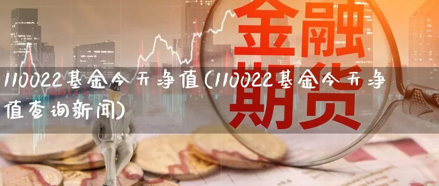 110022基金今天净值(110022基金今天净值查询新闻)_https://www.jinshufanghu.com_期货直播_第1张