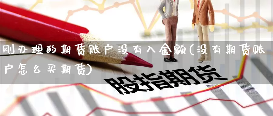 刚办理的期货账户没有入金额(没有期货账户怎么买期货)_https://www.jinshufanghu.com_纳指期货_第1张
