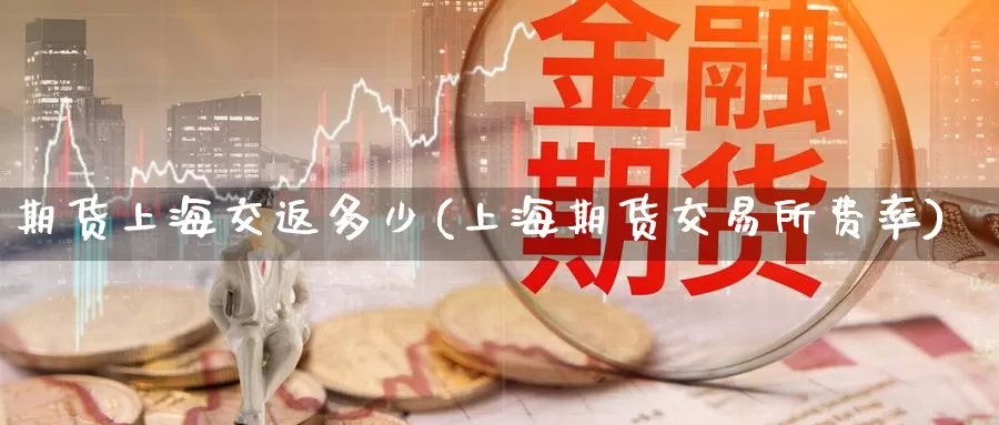 期货上海交返多少(上海期货交易所费率)_https://www.jinshufanghu.com_期货直播_第1张