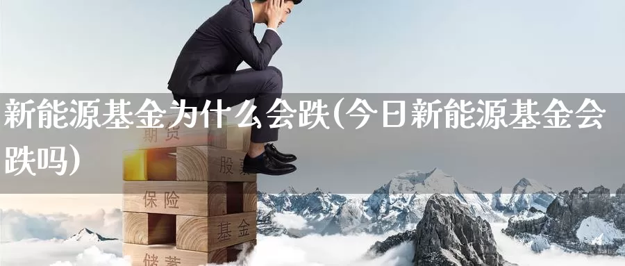 新能源基金为什么会跌(今日新能源基金会跌吗)_https://www.jinshufanghu.com_黄金期货_第1张