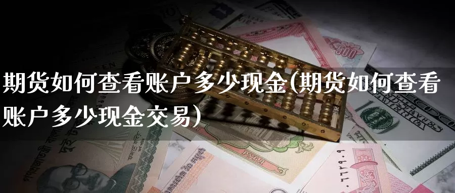 期货如何查看账户多少现金(期货如何查看账户多少现金交易)_https://www.jinshufanghu.com_纳指期货_第1张