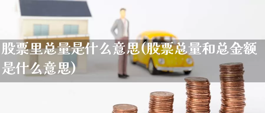 股票里总量是什么意思(股票总量和总金额是什么意思)_https://www.jinshufanghu.com_期货直播_第1张