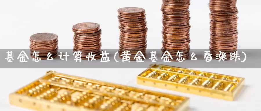 基金怎么计算收益(黄金基金怎么看涨跌)_https://www.jinshufanghu.com_期货直播_第1张