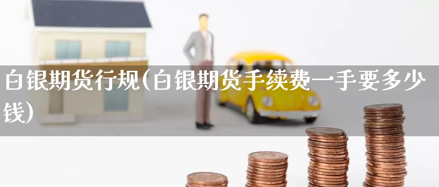 白银期货行规(白银期货手续费一手要多少钱)_https://www.jinshufanghu.com_黄金期货_第1张