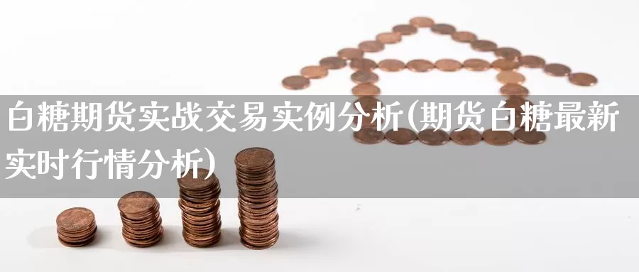 白糖期货实战交易实例分析(期货白糖最新实时行情分析)_https://www.jinshufanghu.com_期货直播_第1张
