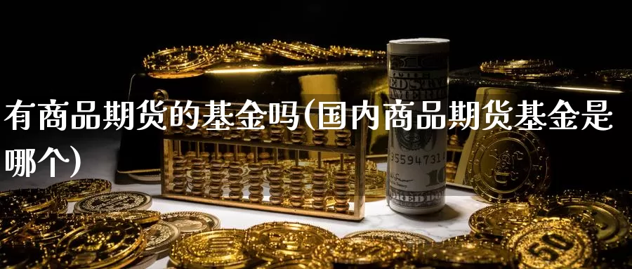 有商品期货的基金吗(国内商品期货基金是哪个)_https://www.jinshufanghu.com_内盘期货_第1张