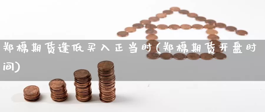 郑棉期货逢低买入正当时(郑棉期货开盘时间)_https://www.jinshufanghu.com_黄金期货_第1张